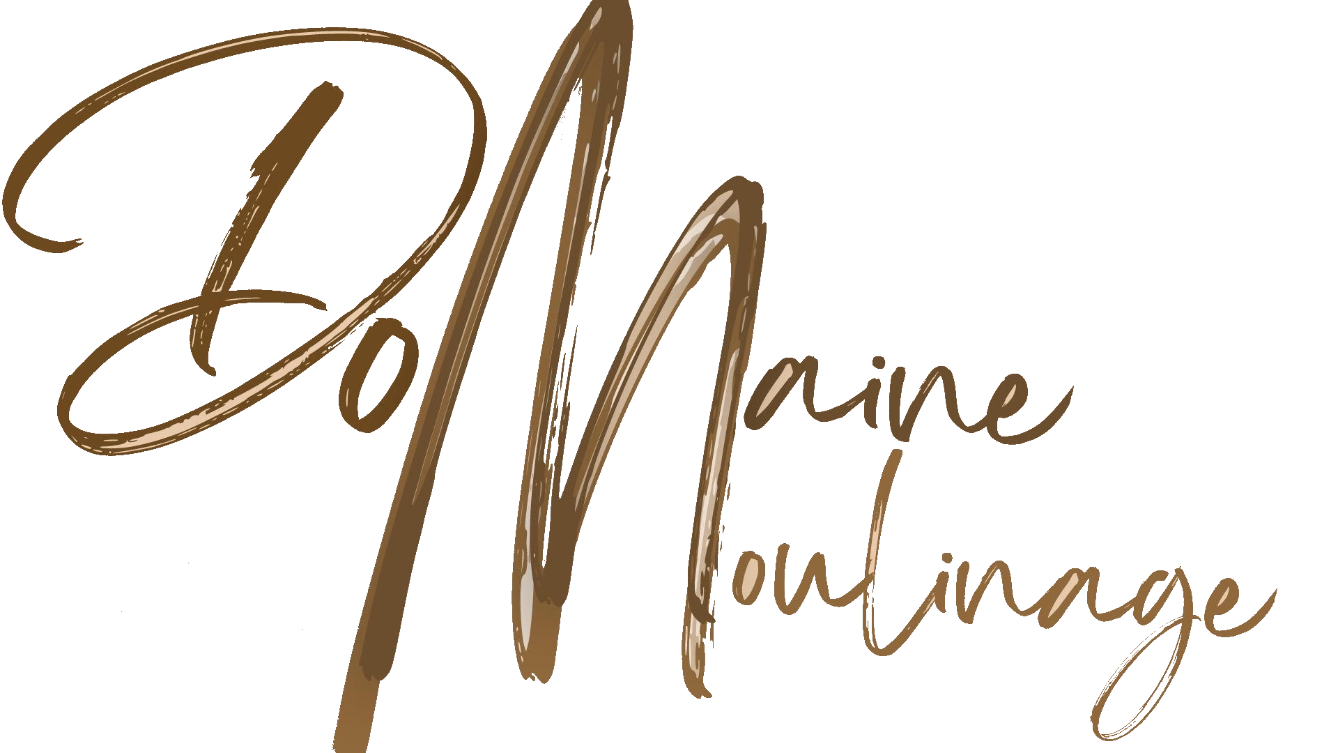 logo sans fond